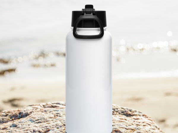 Terry, Gary, and Larry at the Fountain - Stainless steel water bottle with a straw lid